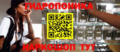ГАЛЛЮЦИНОГЕННЫЕ ГРИБЫ Тара